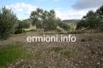 GL 0176 - Kabayianna Land - Fourni - Ermionida